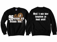 Braun weils mir hier langsam zu bunt wird - Pullover