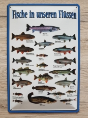 Fische in unseren Flüssen und Seen - Blechschild