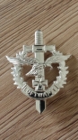 Luftwaffe Adler - Anstecker