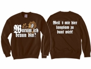 Braun weils mir hier langsam zu bunt wird - Pullover