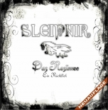 Sleipnir - Das Resümee