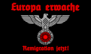 Europa erwache Remigration Fahne