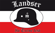 Landser - In treue fest - Fahne/Flagge 150x90cm