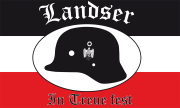 Landser - In treue fest - Fahne/Flagge